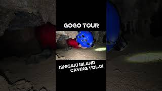 GoGo Tour