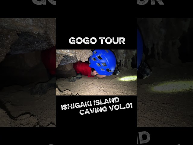 GoGo Tour