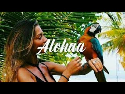Fireboy DML   Playboy Pakx MoombahChill ReMix🇻�