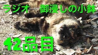 【ラジオ】御浸しの小鉢【42品目】