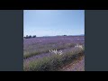 Chants of Provencal Summer