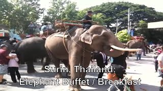 preview picture of video 'Surin mit dem Elephant Buffet / Breakfast'