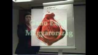  Miért a Gano Excel?