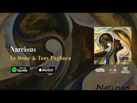 Le Orme & Tony Pagliuca - Narcisus (Visualizer)