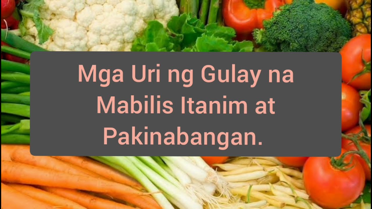 Mga Uri ng Gulay na Madaling Itanim at Pakinabangan #harvestingtime #diygardening #greenmarleigh