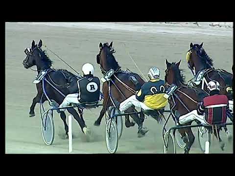 Napoli Trotto 04/03/2022 - 8ª corsa