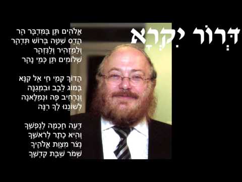 Chief Canter Chaim Adler - Ten Bamidbar Har החזן הראשי חיים אדלר - תן במדבר הר