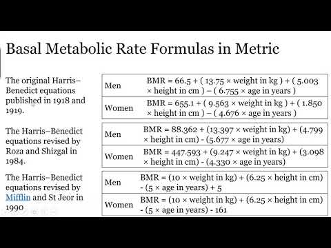 Basal Metabolic Rate BMR Calculation Example
