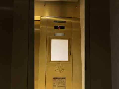 EPIC Dover Traditional elevator at Dillards South at Mall of Saint Matthew’s