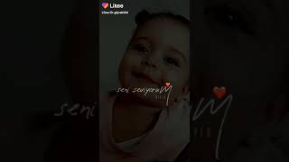 سيني سيفيورم ️