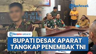 KKB Tembak 3 Prajurit TNI AL & Rampas Senjata Api di Maybrat, Bupati Desak Pelaku Segera Ditangkap
