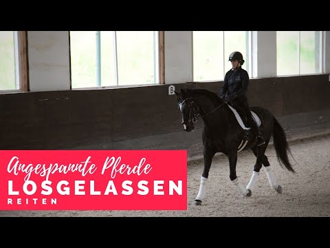 Besser reiten mit Christoph Ackermann | Aufgeregte