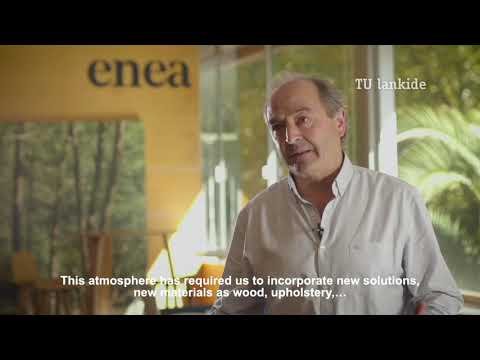 Enea and its integral solutions