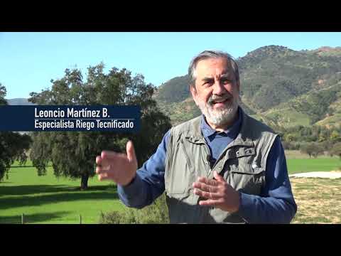 Nuestro Ambiente 2026 capítulo 32