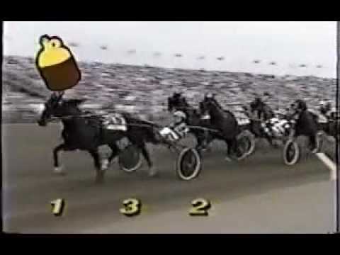 1993 Delaware County Fair LIFE SIGN Little Brown Jug Final