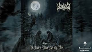 Download lagu ➤ AESTHETE - Echoes of the Night Forest-☠(𝐓𝐑𝐀𝐂𝐊 𝐏𝐑𝐄𝐌𝐈𝐄𝐑𝐄 𝟐𝟎𝟐𝟓)☠ mp3