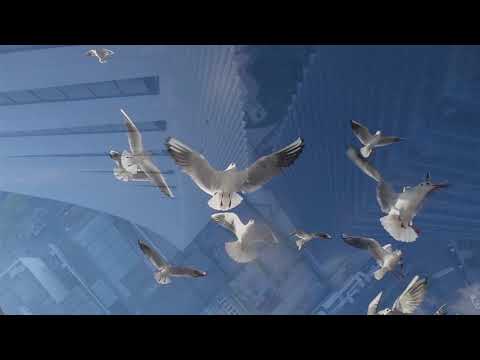 Andre Washington Music Video