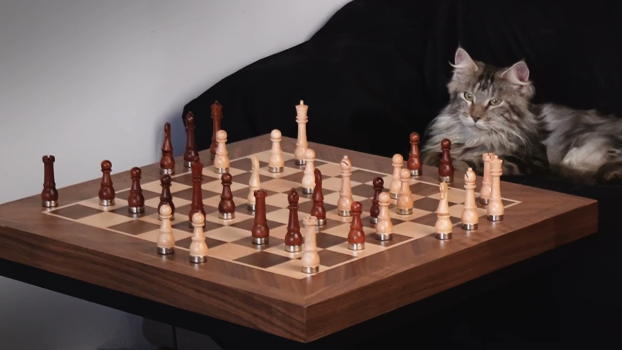 Cat vs. Phantom CHESSBOARD!