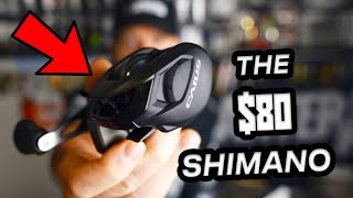 UNBOXING the $80 Shimano Caius Baitcaster | Trash or Treasure?