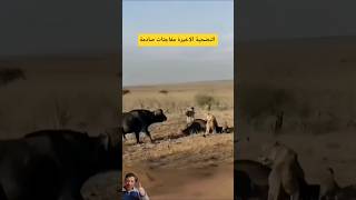 ​فياللحظات الأخيرة:مفاجآت الرعب الصادمة #shorts