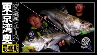 [Tokyo Wan Oku SEABASS] bank fishing BAIT edition of autumn rough eating season aimed at bobbing / Keisuke Baba Satoshi Hisada