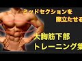 【ミッドセクションのセパレーションを作る!】親父の大胸筋下部トレーニング集