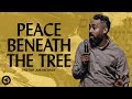 Peace Beneath The Tree Pastor Justin Gray In Focus Church