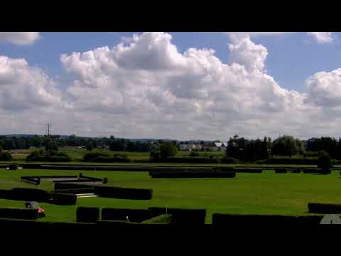 Pferderennen Zürich-Dielsdorf - Summer Race Day