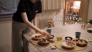 【犬と暮らす主婦】忙しい日も、心地よく暮らしたい｜濃厚牛すじカレーとコチのカルパッチョ｜愛犬のトリミングと掃除ルーティン｜マルプーとの暮らし