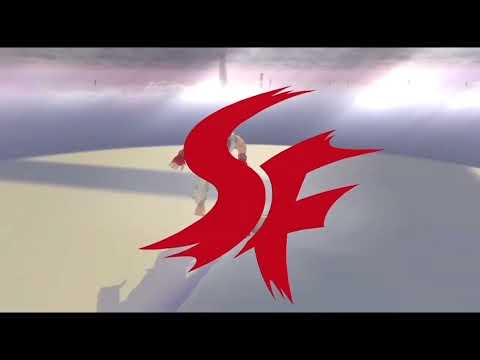 Smash ultimate ryu victory screen (HD)