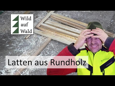 🌲Wie viele Latten schneidet man aus einem Bloch? Mit Fällung! #wildaufwald