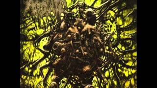 Abdicate - Ground Zero Brooklyn (Carnivore cover)