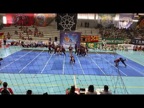 FOXES - Engenharíadas Paranaense 2019