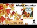 Science Saturday: The Leaf Thief