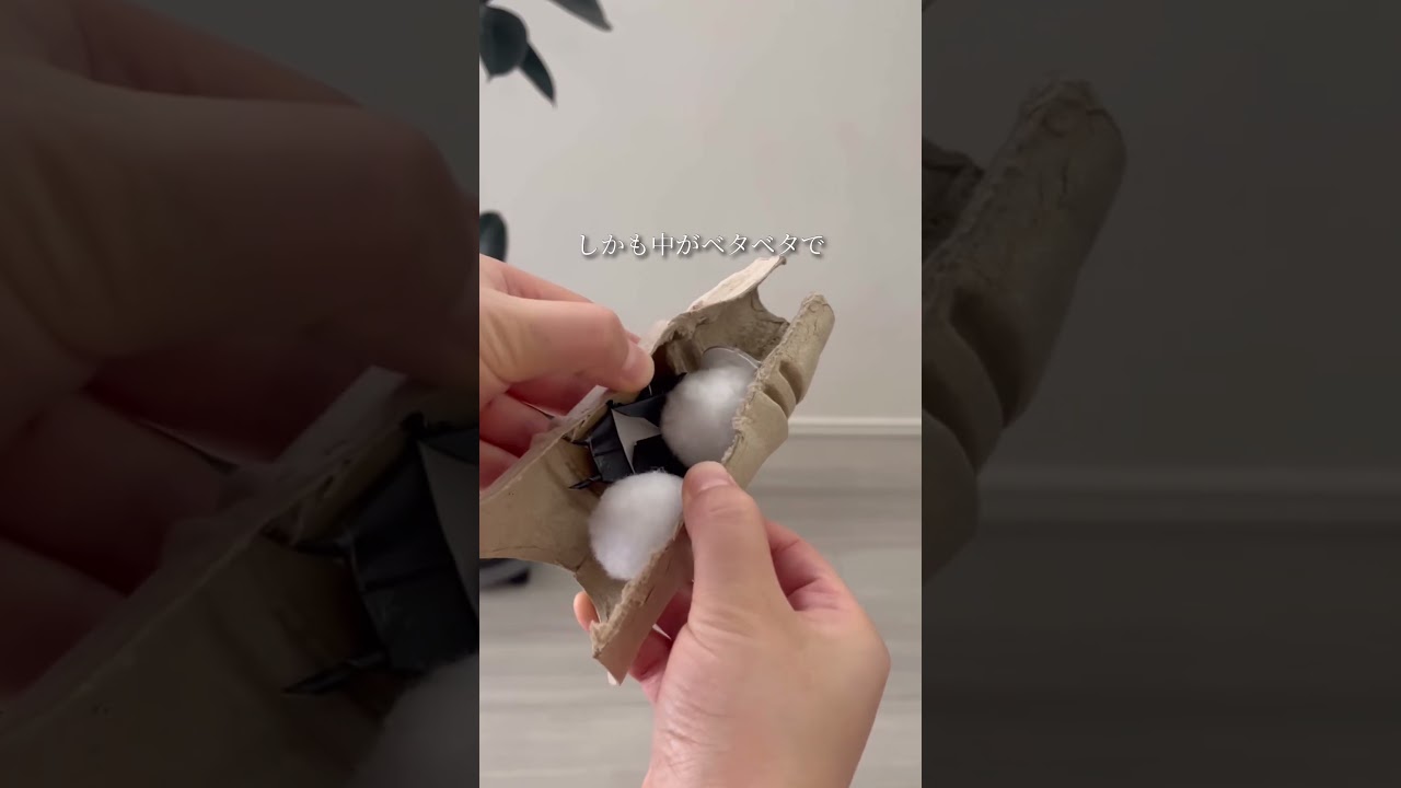 もうすぐこの季節がやってくる！