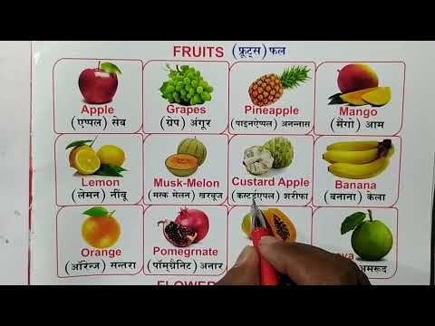 Fruit Names In english and hindi  | फलों के नाम हिन्दी एवं अंग्रेजी भाषा में |for kid's