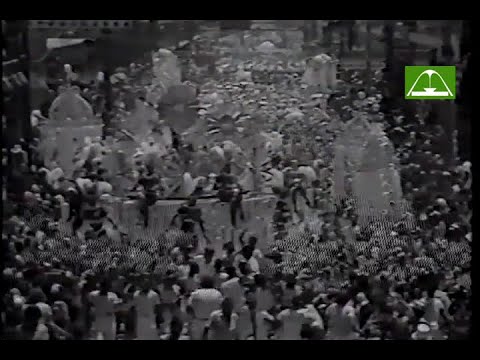 Império Serrano 1982 (Globo)