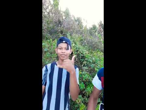 Flaviin Mc , Mc Toiss , Mc Dentinho SLZ - ( MEDLEY NO PARAÍSO D'GRAU )