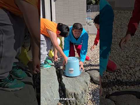 ピカチュウ誕生日 #funny