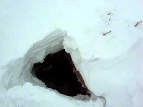 Ceshma Sallahit - Miratoc