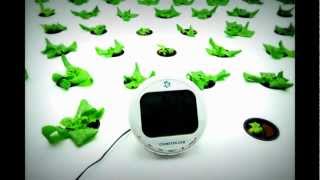 22 Day Lettuce Time Lapse by Indoor Harvest