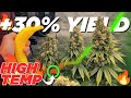 How To Use CO2 For MAXIMUM Yield Potential Indoors