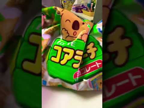 Lotte Koala’March Share Pack#shorts #asmr #trending #chocolate
