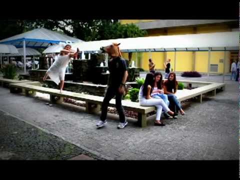 harlem shake - trote design digital 2013