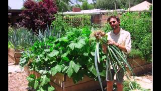 TEDxClaremontColleges - Jesse DuBois - The Urban Farming Revolution