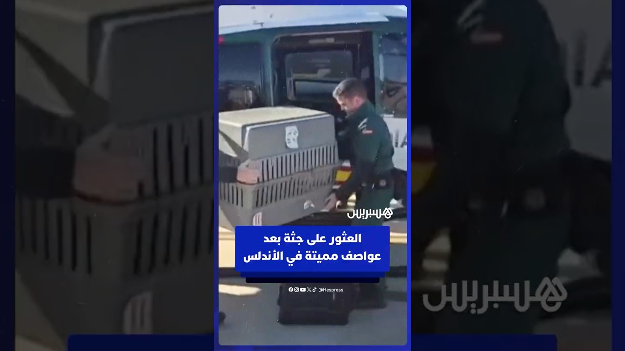 قوات الحرس المدني الإسبانية تنتشل جثة بعد العواصف المميتة في الأندلس thumbnail