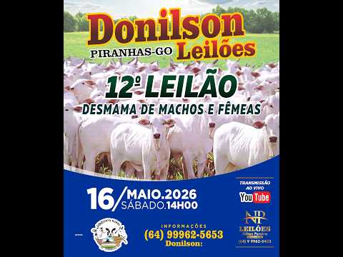 AO VIVO: 12º Leilão Donilson Leilões em Piranhas-GO | Desmama de Machos e Fêmeas 🐂