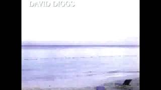 Light The Light - David Diggs