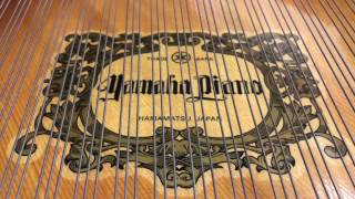 Video thumbnail for Yamaha C7 Conservatory Grand by Linton Milano Piano