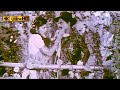 அன்று நம்ம பாடல் Andru Namma Song Malaysia Vasudevan S Janaki Subramaniy